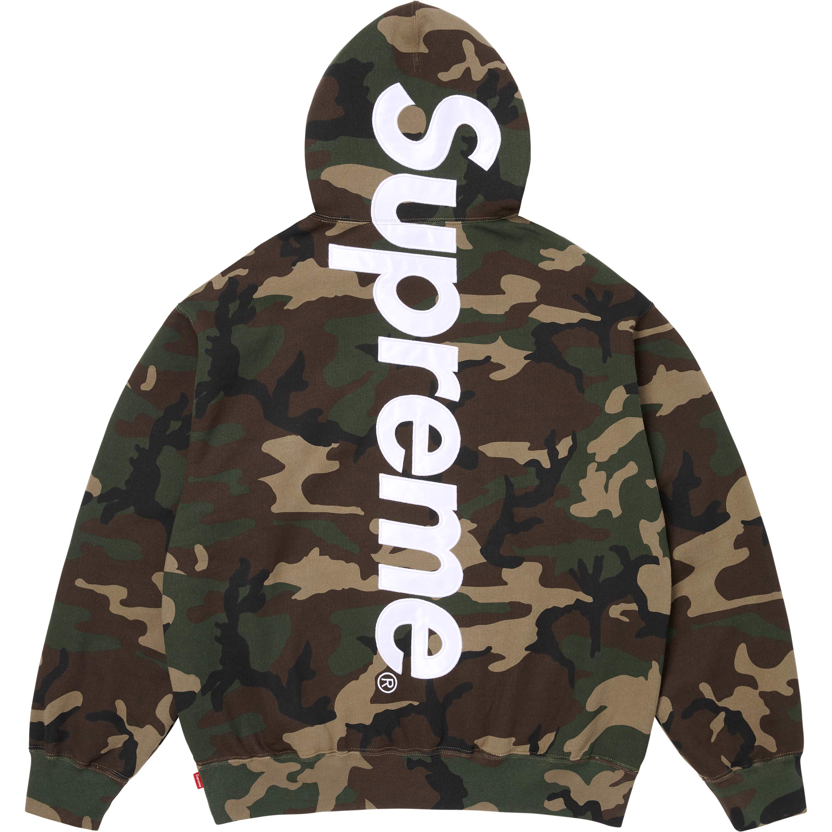 Satin Appliqué Hooded Sweatshirt view 3